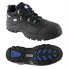Sicherheitsschuhe Fu�schutz S3