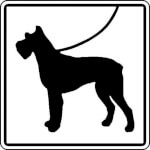 Hinweisschild für Wald- und Freizeitanlagen Hunde anleinen (Symbolschild)