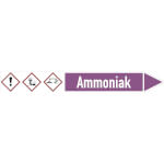 Rohrleitungspfeil rechtsweisend mit GHS-Symbol Ammoniak
