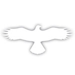 Hinweisschild für Gewerbe und Privat Symbol -Bussard-