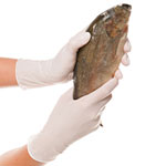 Franz Mensch Nitrilhandschuhe Allfood Safe weiss (250er Box) latexfrei, 100% lebensmittelecht, öl- und fettbeständig