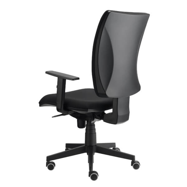 DR.LOMILOMI Sattelstuhl Mit Rückenlehne – Ergonomisch, Verstellbar, Bis 227 Kg Belastbar